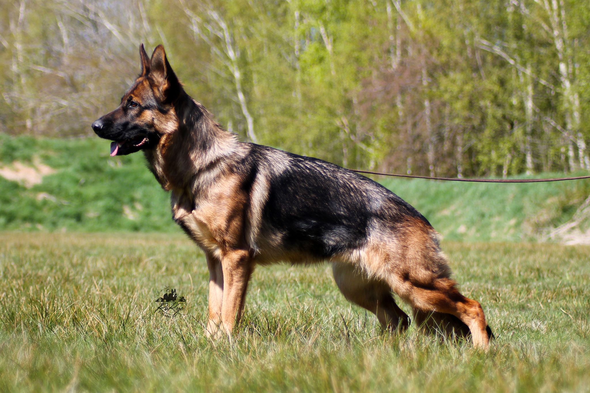 Mother: Isabella von Arlett