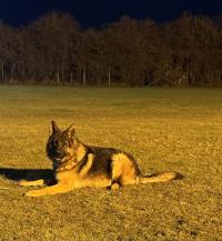 Firestorm von Arlett